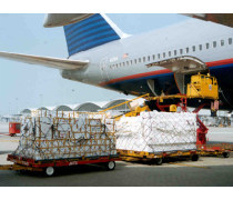 物流倉(cāng)儲(chǔ)與貨物報(bào)關(guān)代理 現(xiàn)代國(guó)際貿(mào)易的基石